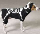 halloween costumes for dogs
