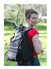 small dog carriers - backpack dog carrier