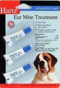 pug ear mites pug facts including pug history and characteristics and other interesting pug pug ear mites pug facts including pug history and characteristics and other interesting pug