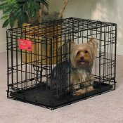 midwest double door dog crate