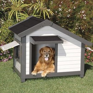House Pets