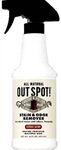 dog urine removal, Enzymatic stain and odor remover