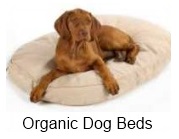 organic dog beds