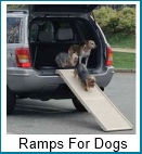 Ramps for dogs ramps for dogs