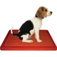 UGODOG For Less UGODOG Coupon Codes, Promos & Sales. Want the best UGODOG coupon codes and sales as soon as they're released? Then follow this link to the homepage to check for the latest deals.