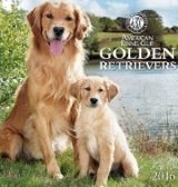Golden Retrievers 2016 Wall Calendar