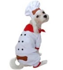 Home Made Dog Food Recipes home made dog food recipes