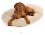Organic Dog Beds organic dog beds