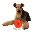OurPets IQ Treat Ball Interactive Food Dispensing Dog Toy treat ball dog toy