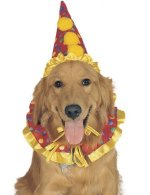 hats for dogs, clown hat and neck ruffle