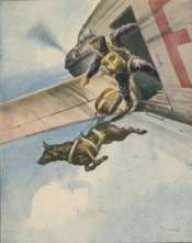 air travel with a dog