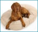 Organic Dog Beds organic dog beds