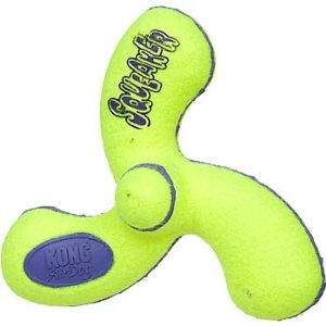 bearded collie, kong air squeaker spinner dog toy