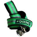 eco friendly dog leash