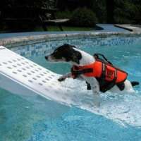 pet ramps and doggie steps -pool ramp for dog