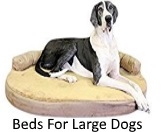 large dog beds