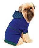 brussels griffon wearing blue hoodie