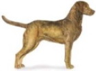 chesapeake bay retriever