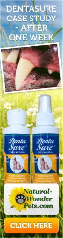 DentaSure All-Natural Oral Care Spray dental spray for dogs