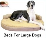 Dog beds for large dogs beds for large dogs