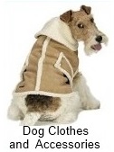 small dog clothes