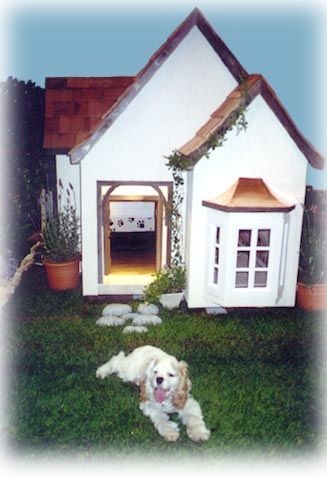custom dog house