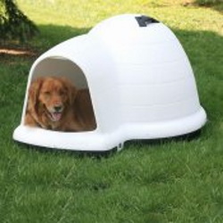 medium igloo dog house