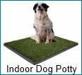 indoor dog potty indoor dog potty