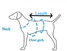 dog life vest measuring guide