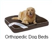 orthopedic dog beds