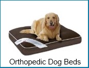 Orthopedic dog beds orthopedic dog beds