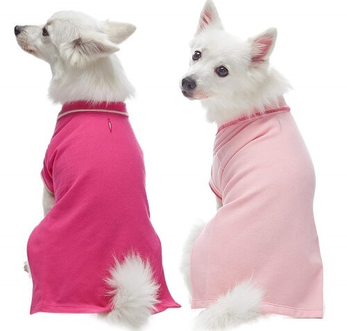 Blueberry Polo Dog Shirt dog t shirts by blueberry