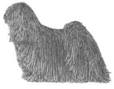 puli herding dog