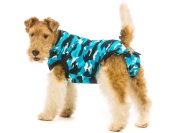 Recovery Suit For Dogs recovery suit for dogs while healing