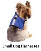 small dog harness