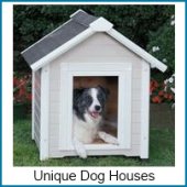 Unique Dog Houses unique dog houses