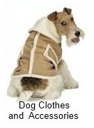 dog clothes and accessories