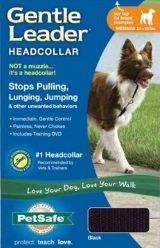 Dog Training Head Collar Gentle Head Collar For Training Dogs
