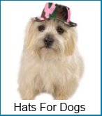 Dog hats dog hats