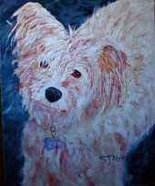 merwin pet portraits