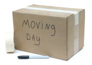 moving with your dog, moving box