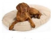 Organic Dog Beds organic dog beds