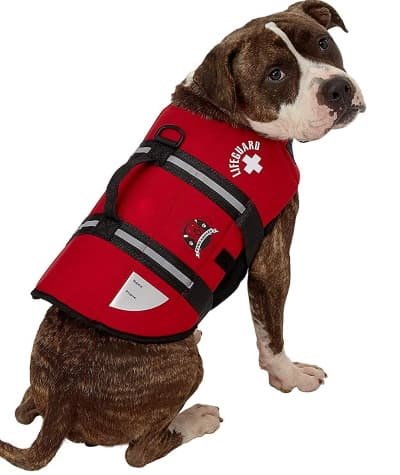 life vest for dog