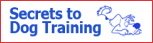 Dog Training dog training course