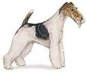 terrier image wire type