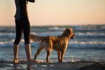 dog at beach w-woman