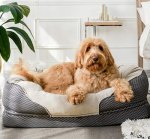 barksbar dog bed with cute dog
