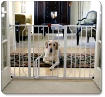 dog gate with large dog sitting down looking through