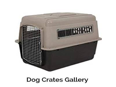 dog crates