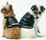 two dogs wearing Doggles Biker Vest Dog Harnesses
